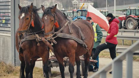 Protesta-De-Agricultores-En-Europa-En-Polonia.