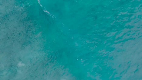 Von-Oben-Nach-Unten-Zeitlupen-Drohnenansicht-Von-Türkisfarbenem,-Klarem-Wasser-Und-Brechenden-Wellen-über-Einem-Flachen-Korallenriff-In-Uluwatu,-Bali,-Indonesien