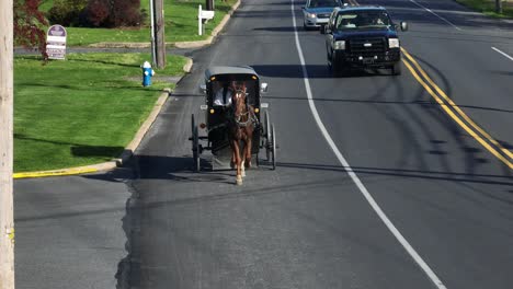 Amish-Horse-Carriage-on-street-between-cars-in-american-town-during-sunny-day