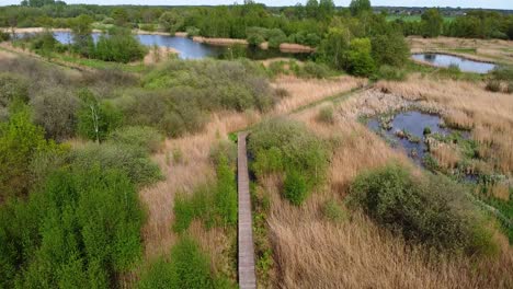 Vista-Aérea-Panorámica-Del-Puente-Peatonal-De-Madera-Sobre-El-Agua-En-El-Parque-Natural-De-Plateaux-Hageven,-Pelt