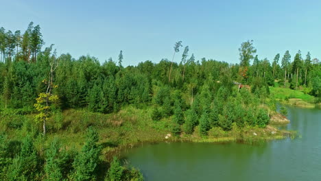 Green-woodlands-on-edge-of-pond,-slow-angled-drone-view