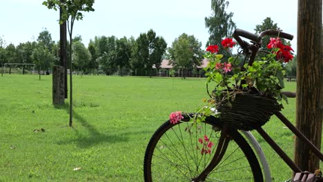 Altes-Fahrrad-Mit-Blumen-Auf-Holzkorb-Auf-Dem-Bauernhof