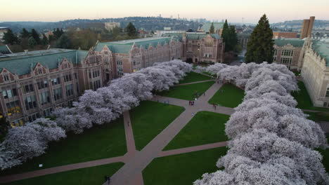 Drohne-Sinkt-Vor-Dem-Quad-Park,-Sonnenaufgang-An-Der-Universität-Von-Washington