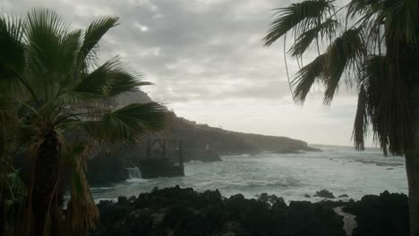 Slow-camera-reveal-of-waves-crashing-on-the-rocky-coast-of-Garachico-behind-palm-tree-on-Tenerife,-Canary-Islands