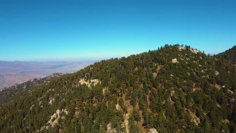 Fliegen-Sie-über-Die-Bäume-Des-Bee-Canyon-Waldes-In-Hemet,-Kalifornien,-USA