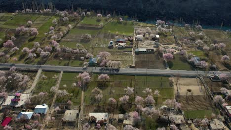 Drohnenschuss-über-Skardu-Im-Pakistanischen-Dorf-Mit-Häusern-Und-Blühenden-Bäumen
