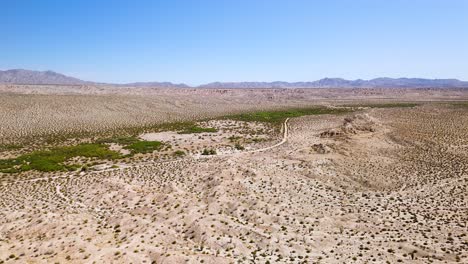 Paisaje-Desértico-Con-Plantas-De-Ocotillo-Que-Crecen-En-California,-Estados-Unidos