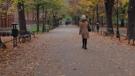 Una-Mujer-Solitaria-Camina-Por-El-Parque-En-Otoño