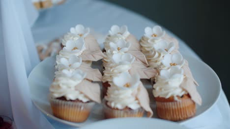 Creamy-cupcakes-with-white-flowers-on-top-on-plate,-close-up-pull-out