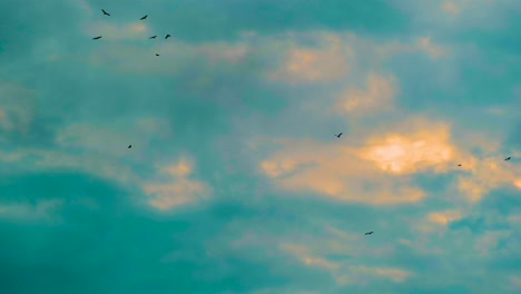 Bandada-De-Pájaros-Flotando-Sobre-El-Cielo-Azul-Al-Amanecer