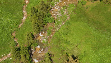 Luftaufnahme-Eines-Kleinen-Gebirgsbachs,-Umgeben-Von-Einem-Grünen-Wald-Und-Einer-Wiese