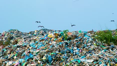 Bandada-De-águilas-Pájaros-Volando-En-Vertederos-De-Basura,-Impacto-Ambiental,-Contaminación