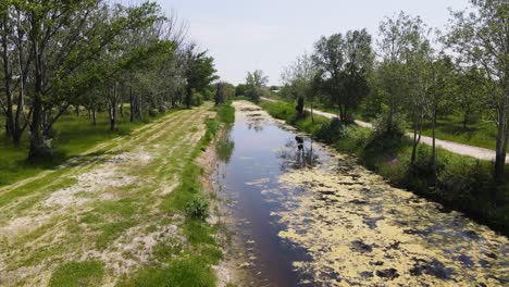 River-With-Algae-In-Daytime-In-Szalkszentmarton,-Hungary