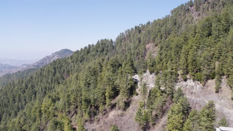 Aerial-view-of-a-mountain-road-through-a-pine-forest-in-Ayubia-National-Park,-KPK,-Pakistan