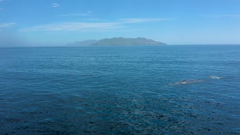 Aerial-static-view-of-whale-spout-air-and-fluke-rising-above-surface-in-Magdalena-Bay