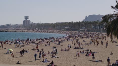 Crowded-Barcelona-beach-in-summer-with-palm-trees-and-cityscape