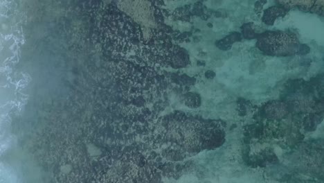 Von-Oben-Nach-Unten-Drohnenansicht-Von-Türkisfarbenem,-Klarem-Wasser-Und-Brechenden-Wellen-über-Einem-Flachen-Korallenriff-In-Uluwatu,-Bali,-Indonesien