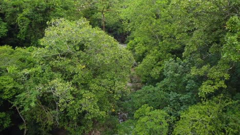 Trockener,-Felsiger-Bach-Im-Kolumbianischen-Regenwald,-Von-Dürre-Betroffen