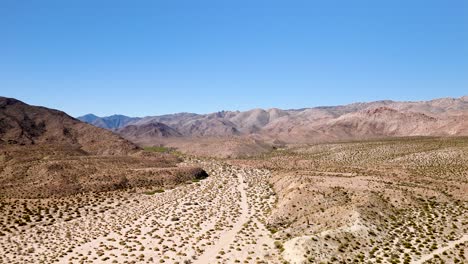 Trockene-Wüste-Mit-Einheimischen-Ocotillo-Pflanzen-In-Kalifornien,-USA