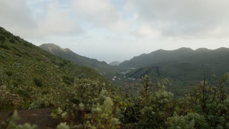 Lush-vegetation-and-mountains-of-north-Tenerife,-Canary-Islands-in-spring