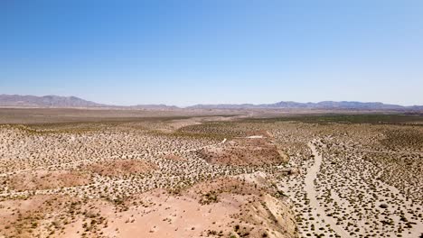 Ocotillo-Plants-Growing-On-Desert-Landscape-In-California,-USA