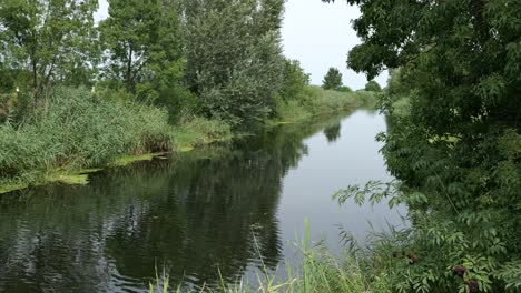 Río-De-Aguas-Tranquilas-Rodeado-De-árboles-Verdes