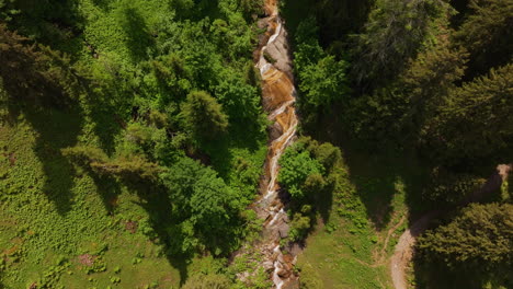 Luftaufnahme-Eines-Kleinen-Gebirgsbachs,-Umgeben-Von-Einem-Grünen-Wald-Und-Einer-Wiese