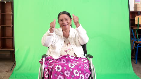 general-shot-of-elderly-woman-in-wheelchair