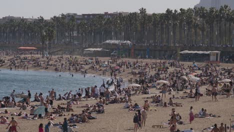 Crowded-Barcelona-beach-in-summer,-sunbathers-and-swimmers,-palm-trees-lining-the-promenade
