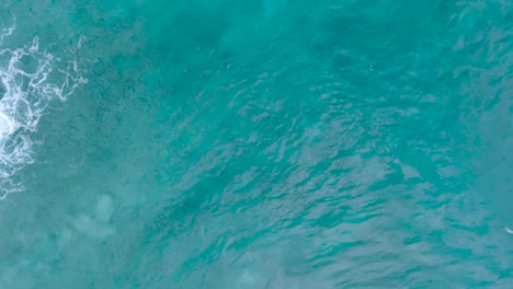 Von-Oben-Nach-Unten-Zeitlupen-Drohnenansicht-Von-Türkisfarbenem,-Klarem-Wasser-Und-Brechenden-Wellen-über-Einem-Flachen-Korallenriff-In-Uluwatu,-Bali,-Indonesien
