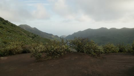 Langsame-Kamera-Zeigt-Im-Frühling-Die-üppige-Vegetation-Und-Die-Berge-Im-Norden-Teneriffas,-Kanarische-Inseln