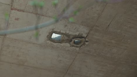 Budding-branch-frames-a-view-of-Zagreb-hospital's-decay