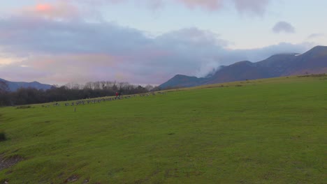 Wanderer-Gehen-Durch-Die-Grünen-Felder-Und-Hügel-Von-Cumbria-Vorbei-An-Einer-Herde-Wildenten