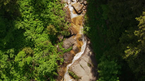 Luftaufnahme-Eines-Kleinen-Gebirgsbachs,-Umgeben-Von-Einem-Grünen-Wald