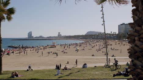 Sunny-day-at-Barcelona-beach-with-people-relaxing,-palm-trees-in-the-foreground,-cityscape-in-the-back