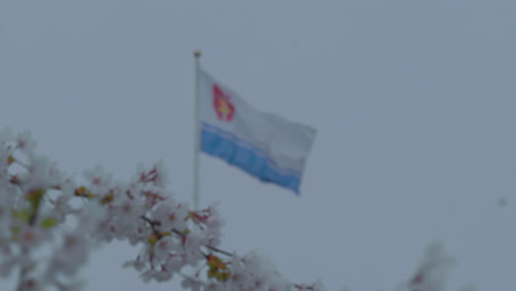 The-flag-of-Gdynia,-featuring-horizontal-stripes-and-the-city's-coat-of-arms,-flutters-in-the-wind-with-a-blur-of-cherry-blossoms-in-the-foreground