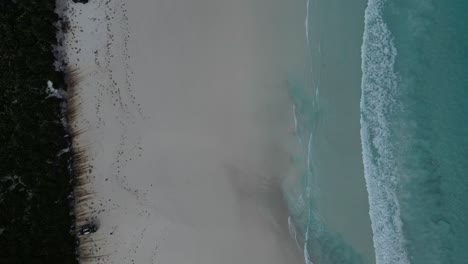 Vogelperspektive-über-Den-Weißen-Sandstrand-Von-Lucky-Bay-Beach-In-Der-Nähe-Von-Cape-Le-Grand-In-Westaustralien