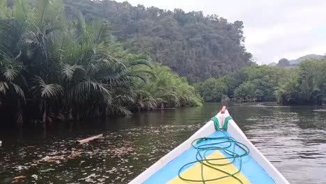 El-Barco-Navegando-Por-El-Río-A-Través-Del-Bosque-De-Manglares.