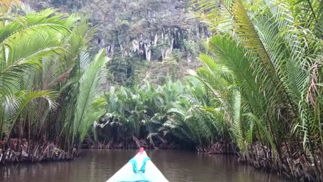 Das-Boot-Fährt-Auf-Dem-Fluss-Durch-Den-Mangrovenwald,-Maros,-Südsulawesi