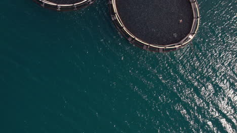 Flying-over-fish-breeding-farm-in-the-sea