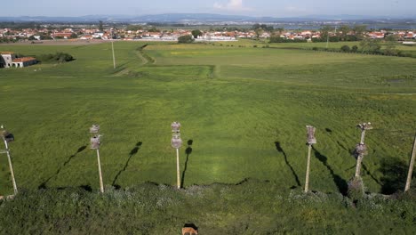 Storks'-nests-atop-poles-in-a-green-Portuguese-village-landscape-under-a-blue-sky---aerial