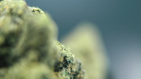 Makro-Rotationsvideo-Einer-Cannabispflanze,-Hybridsorten,-Knackige-Sativa,-Grüne-Marihuanablüte,-4K-Video,-Studiobeleuchtung,-Magische-Unschärfe,-Sanfte-Bewegung