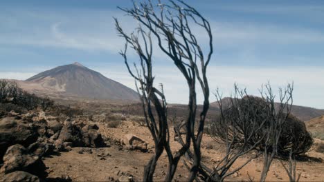 Naturgebiet,-Das-Von-Feuer,-Klimawandel-Und-Globaler-Erwärmung-Betroffen-Ist