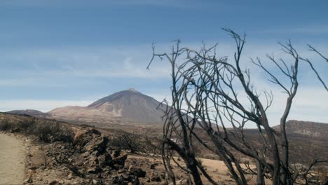 Desierto-Quemado-Devastador-Por-El-Fuego-En-España,-Paisaje-Quemado