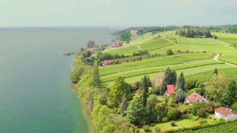 Orchard-farmlands-slope-down-to-coastline-on-misty-day,-Meersburg-Germany