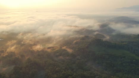 Nebel-Am-Morgen-In-Der-Indonesischen-Landschaft-Mit-Morgenlicht