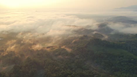 Mañana-De-Niebla-En-El-Campo-Indonesio-Con-La-Luz-Del-Amanecer