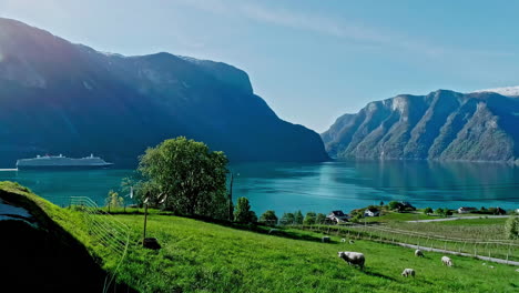 Hermoso-Sognefjord-Sognefjorden-Naturaleza-Noruega-Fiordo-Flam-Naturaleza-Paisaje