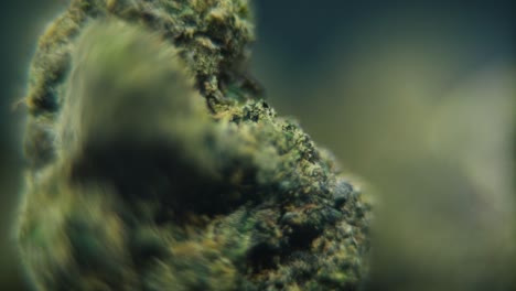 Makro-Rotationsvideo-Einer-Cannabispflanze,-Hybridsorten,-Sativa-Rock,-Marihuanablüte,-Zeitlupe-120 fps,-Studiobeleuchtung,-Verträumte-Tiefenschärfe