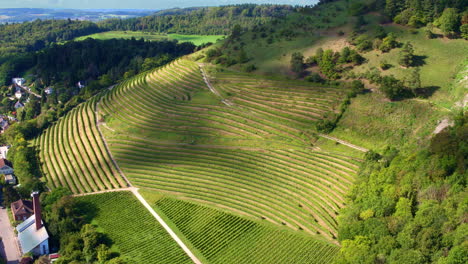 Wolkenschatten-Zieht-über-Terrassierte-Hügel-Eines-Weinbergs-In-Ländlicher-Umgebung